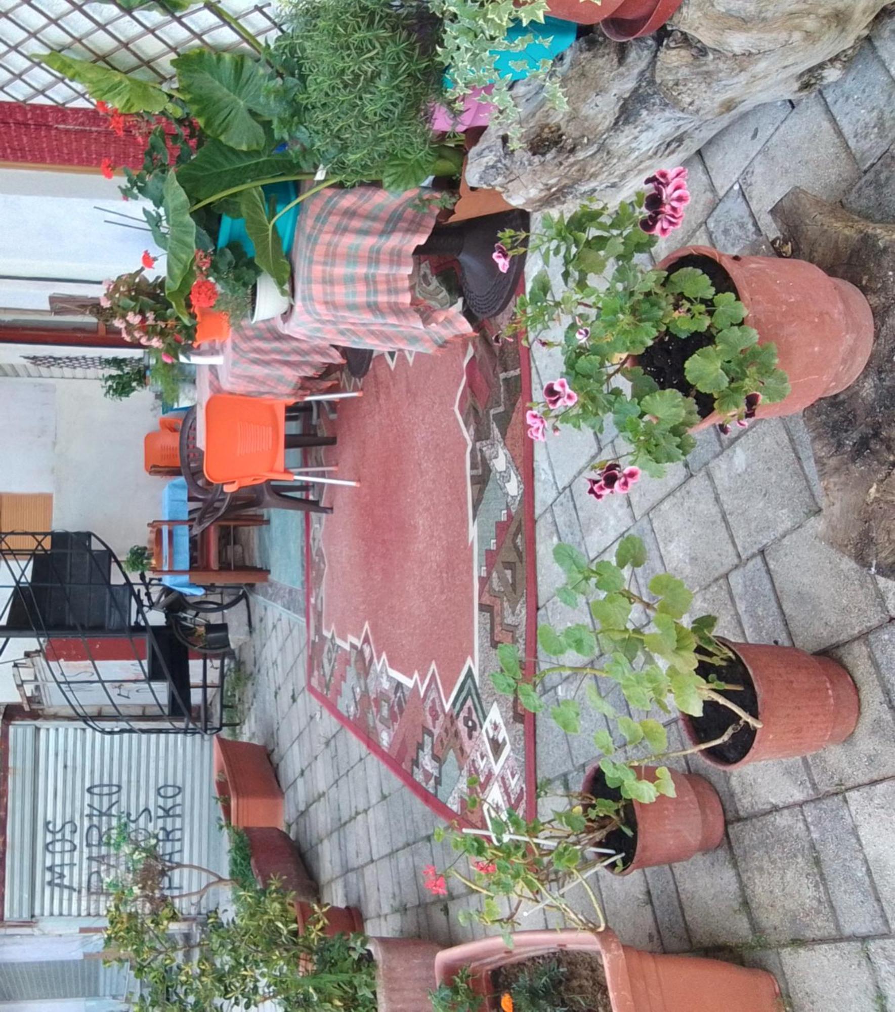 Casa Mia Vandrerhjem Vlorë Eksteriør bilde